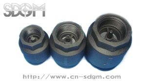 Nylon Spring Check Valve