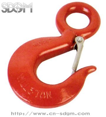 EYE HOOK WITH LATCH